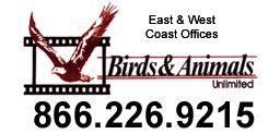 2017 - Birds & Animals Unlimited